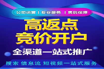 百度竞价赚钱的技巧与成功案例探讨