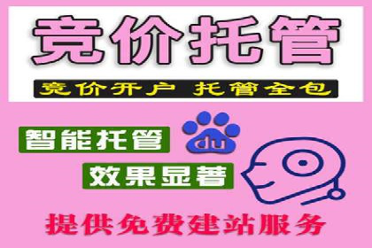 某企业如何通过SEM提升品牌知名度的案例